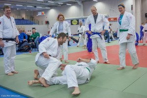 20170108 14.59 247 Per Ottosson